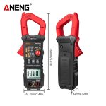 Clamp Meter True RMS Aneng ST210