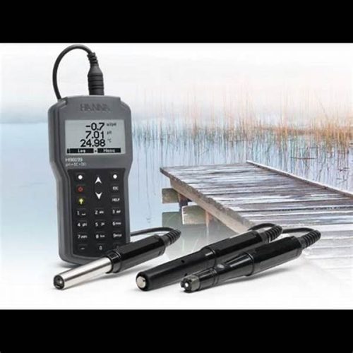 Hanna Instruments Multiparameter Waterproof HI98199 4