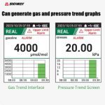 SNDWAY-SW-733GT-2-in-1-Combustible-Gas-Detector-Air-Pressure-Detector1-1